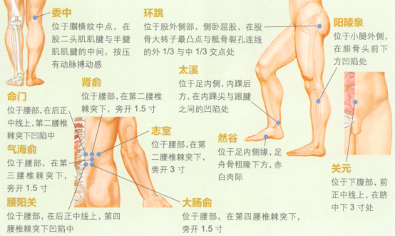 腰腿痛艾灸哪个部位图解